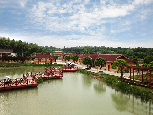 美麗湖南行#由湖南樹人農林科技有限公司投資承建的洞庭花海將于“五一”盛大開園