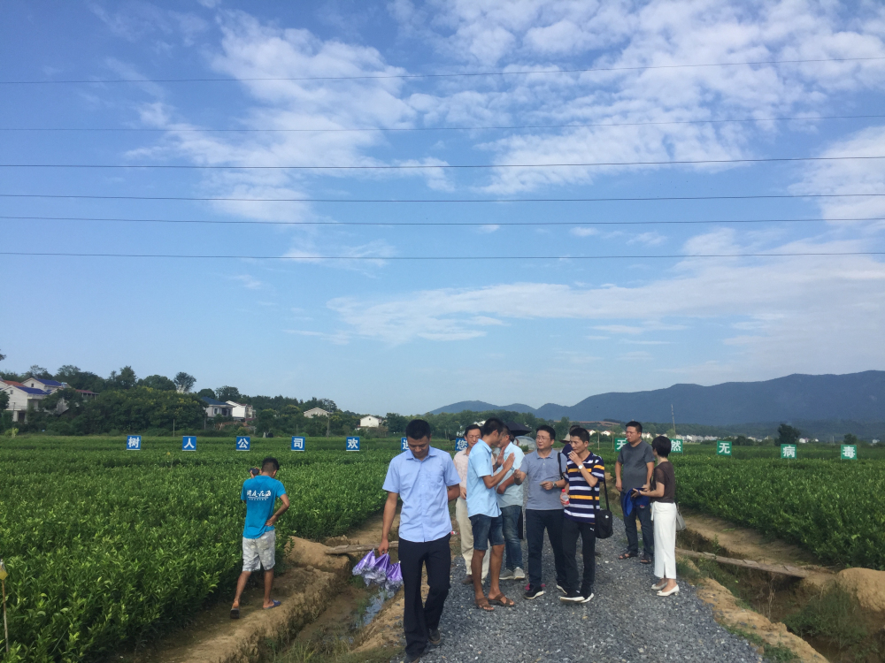 湖南省農(nóng)業(yè)科技特派員李密教授、李飛翔專家等一行蒞臨樹人公司調(diào)研指導