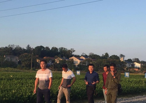 十月小陽春，栽苗好季節(附10月柑橘管理要點)