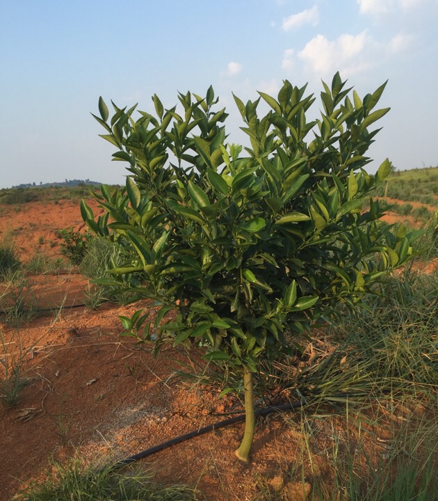“全產(chǎn)業(yè)鏈”順應(yīng)時(shí)代發(fā)展需要