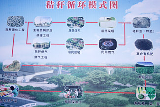 現代循環農業產生巨大裂變效應