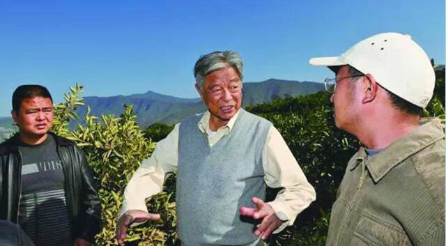 黃鐵鷹：褚橙對(duì)我震動(dòng)最大，互聯(lián)網(wǎng)不能讓二流變一流