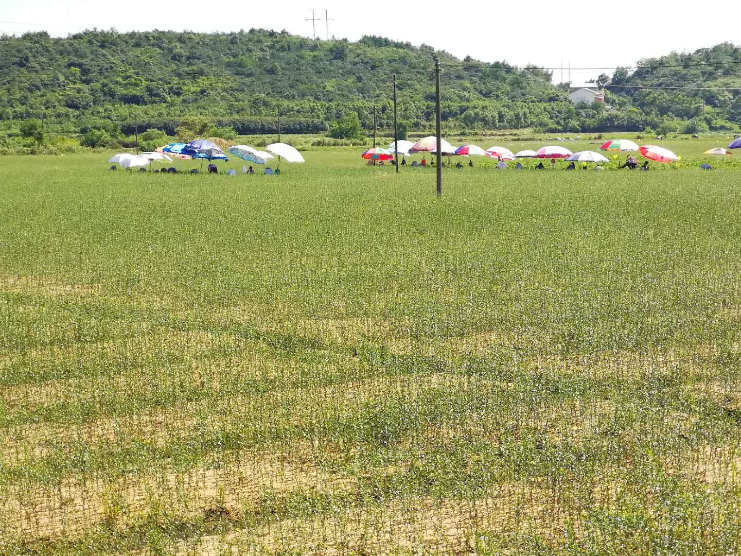 互聯(lián)網(wǎng)+正在深刻改變著農(nóng)業(yè)