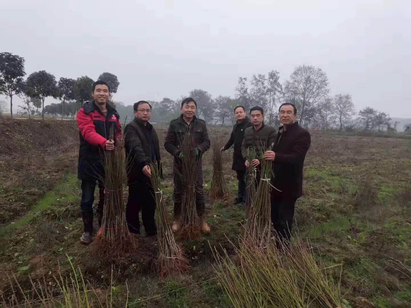 積極參與扶貧攻堅戰，樹人公司在行動