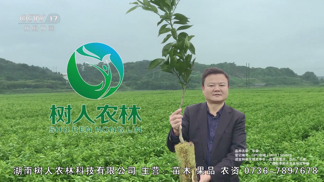 慶祝樹人農(nóng)林榮登CCTV 苗木促銷惠農(nóng)助農(nóng)活動