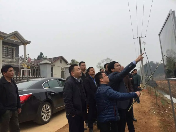 湖南樹(shù)人農(nóng)林科技有限公司,湖南柑橘品種銷售,落葉果樹(shù)類銷售,常綠果樹(shù)類哪里好