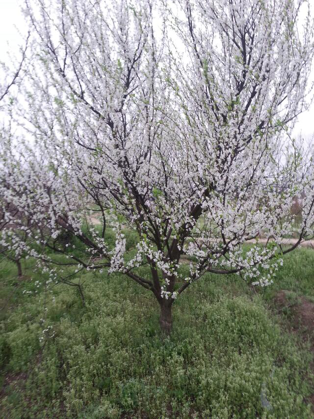 常德市萬路達物流股份有限公司,常德危險品運輸服務,普貨運輸服務,物流生活服務哪里好