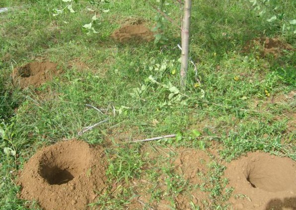 常德市萬路達物流股份有限公司,常德危險品運輸服務,普貨運輸服務,物流生活服務哪里好