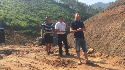 彩色油菜花的研究與開發推廣