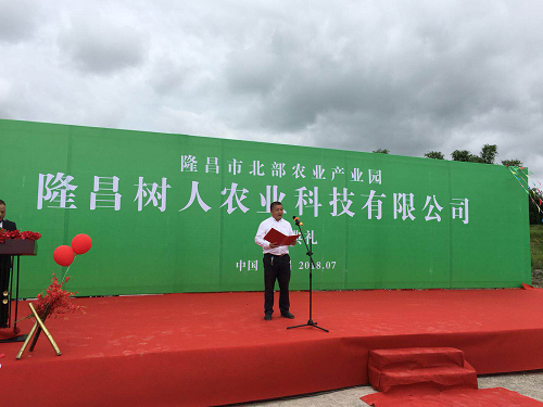 湖南樹人農(nóng)林科技有限公司,湖南柑橘品種銷售,中國果樹網(wǎng),常綠果樹類哪里好