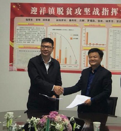 湖南樹人農林科技有限公司,湖南柑橘品種銷售,中國果樹網,常綠果樹類哪里好