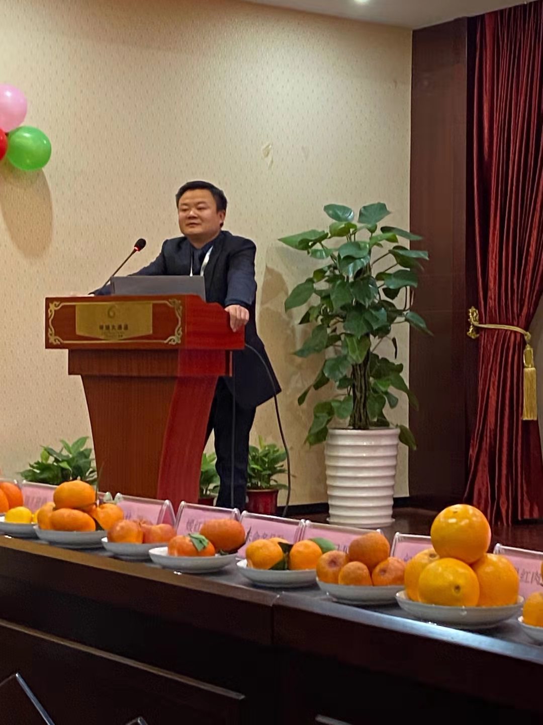 湖南樹人農(nóng)林科技有限公司,湖南柑橘品種銷售,中國(guó)果樹網(wǎng),常綠果樹類哪里好