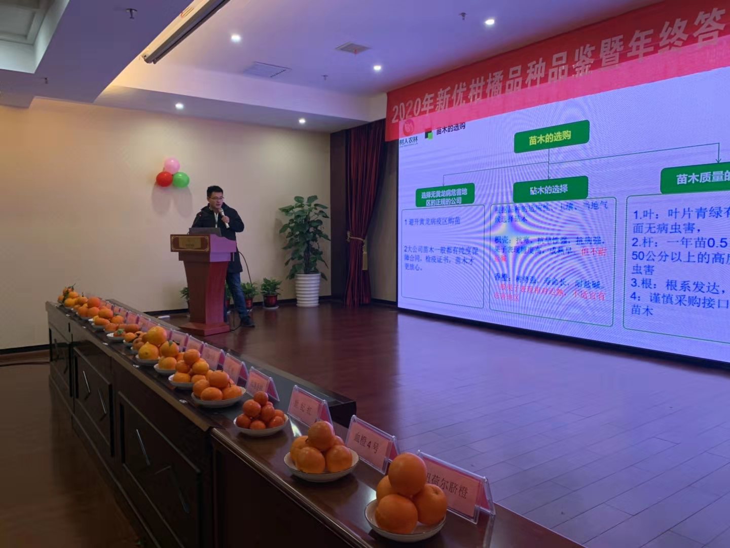 湖南樹人農(nóng)林科技有限公司,湖南柑橘品種銷售,中國(guó)果樹網(wǎng),常綠果樹類哪里好