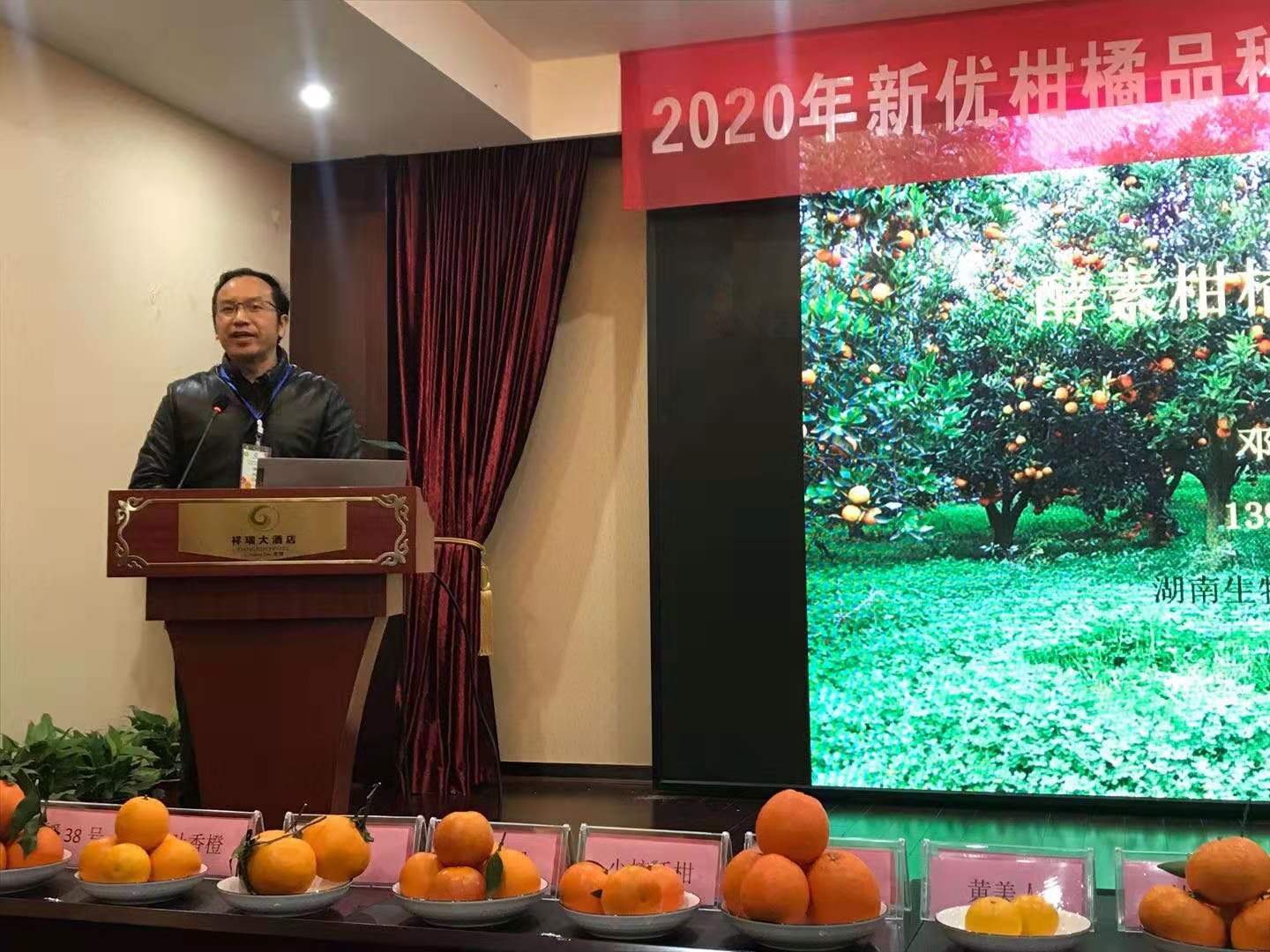 湖南樹人農(nóng)林科技有限公司,湖南柑橘品種銷售,中國(guó)果樹網(wǎng),常綠果樹類哪里好