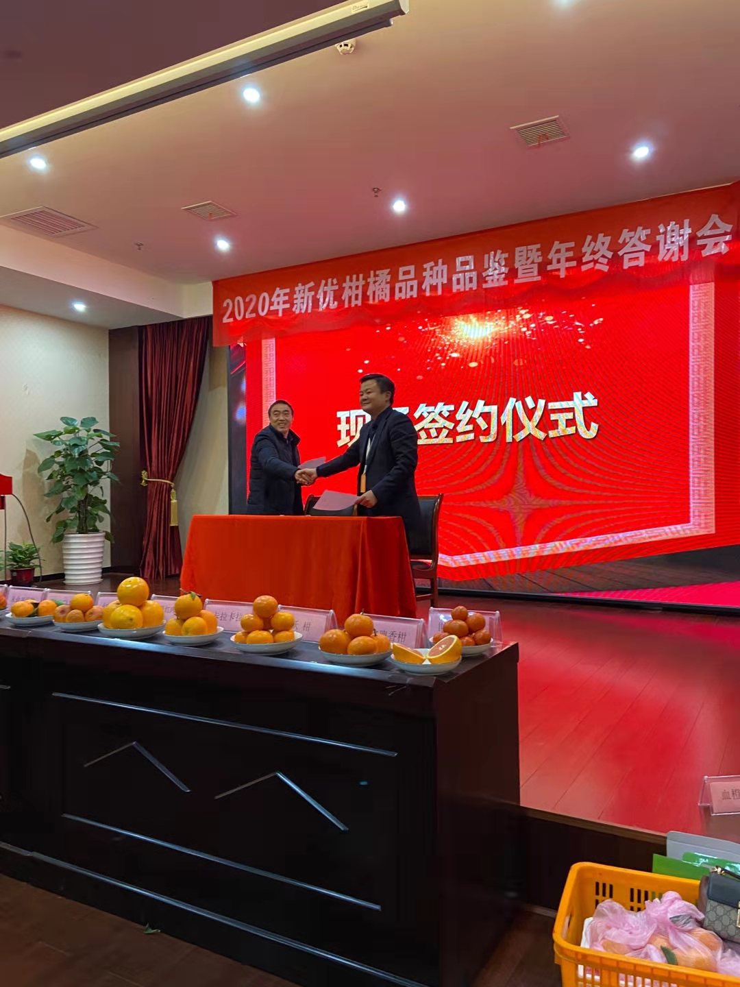 湖南樹人農(nóng)林科技有限公司,湖南柑橘品種銷售,中國(guó)果樹網(wǎng),常綠果樹類哪里好