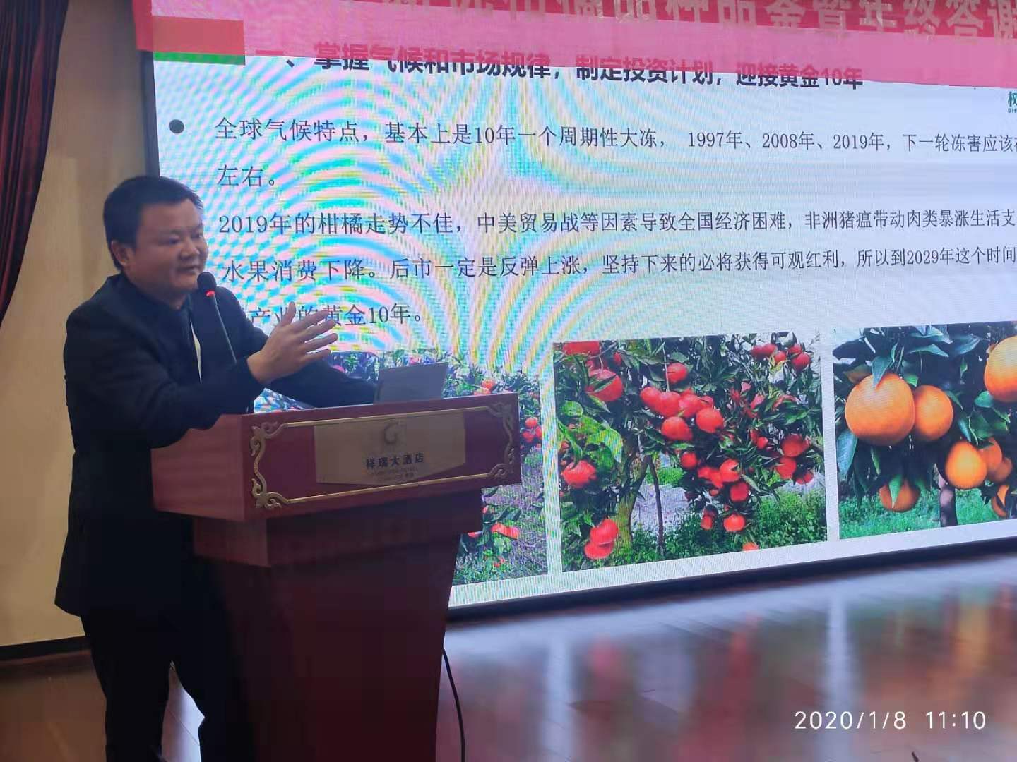 湖南樹人農(nóng)林科技有限公司,湖南柑橘品種銷售,中國(guó)果樹網(wǎng),常綠果樹類哪里好