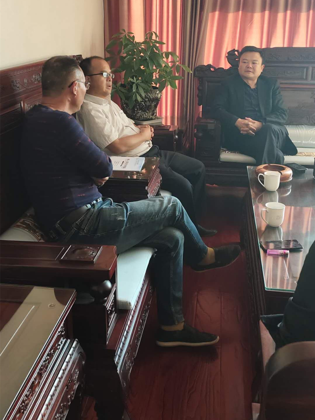 湖南樹人農林科技有限公司,湖南柑橘品種銷售,中國果樹網,常綠果樹類哪里好