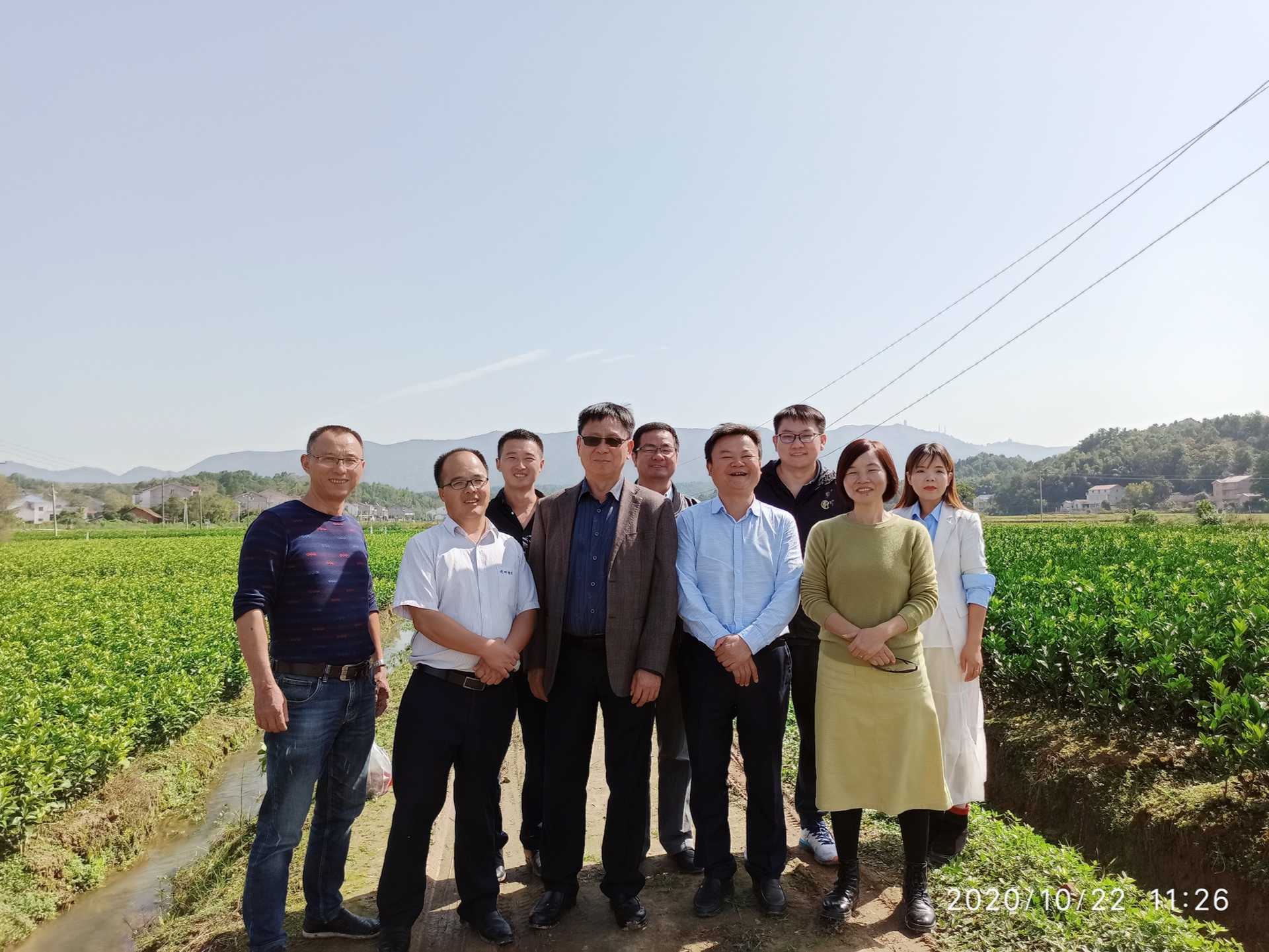 湖南樹人農林科技有限公司,湖南柑橘品種銷售,中國果樹網,常綠果樹類哪里好