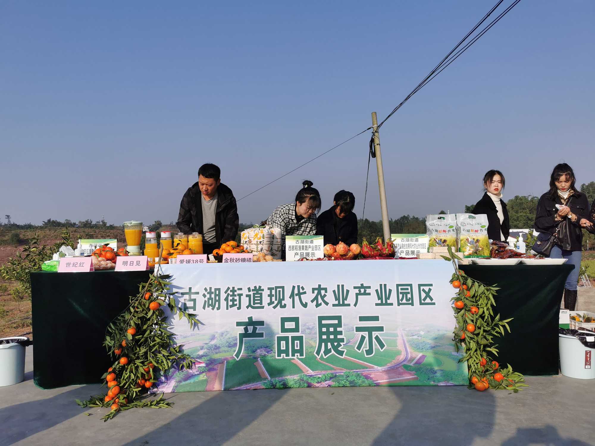 湖南樹人農林科技有限公司,湖南柑橘品種銷售,中國果樹網,常綠果樹類哪里好 湖南樹人農林科技有限公司,湖南柑橘品種銷售,中國果樹網,常綠果樹類哪里好