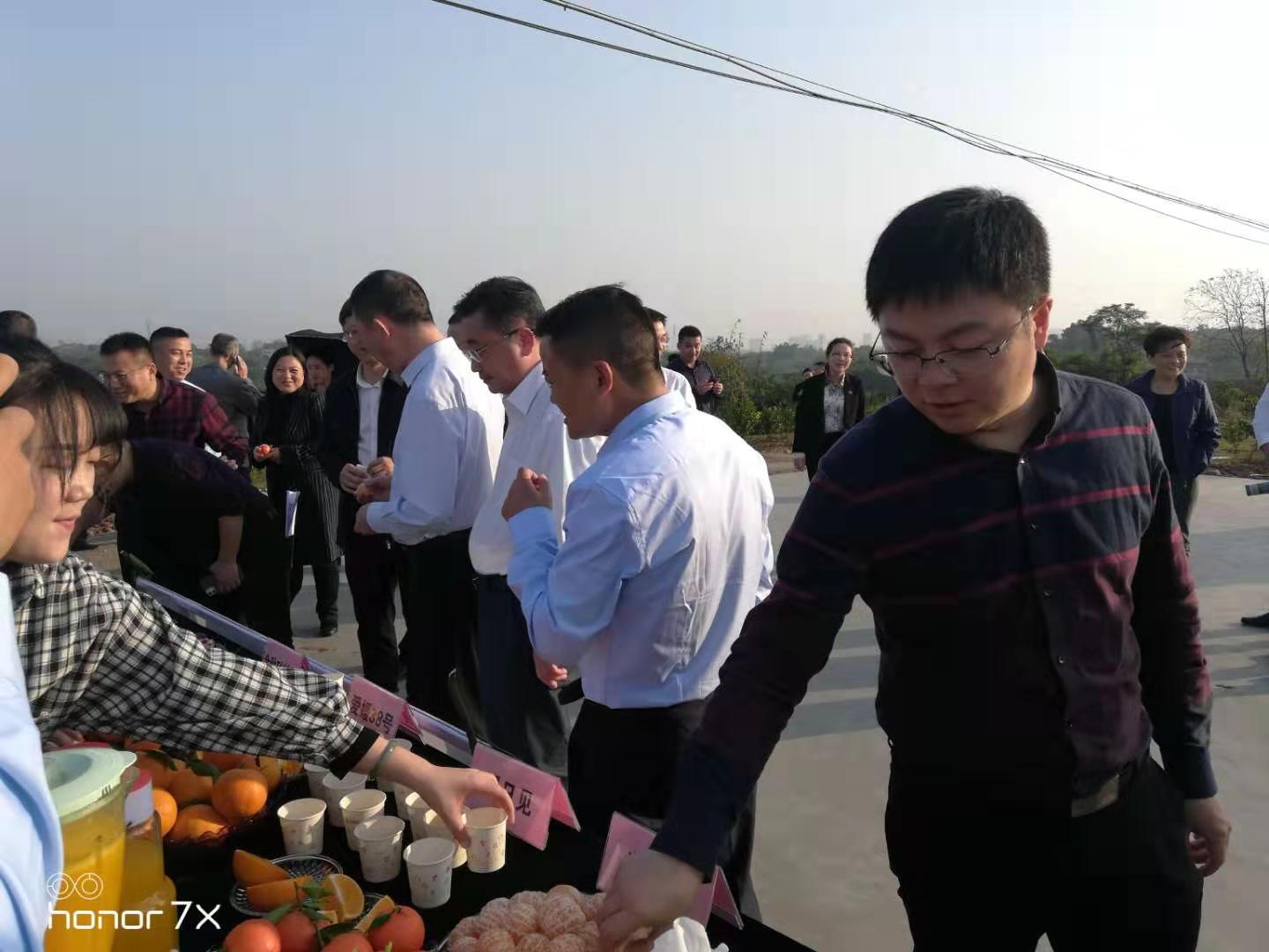 湖南樹人農林科技有限公司,湖南柑橘品種銷售,中國果樹網,常綠果樹類哪里好 湖南樹人農林科技有限公司,湖南柑橘品種銷售,中國果樹網,常綠果樹類哪里好