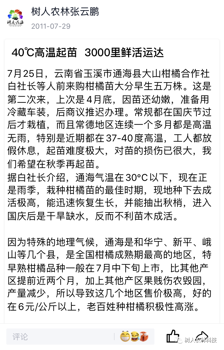 湖南樹人農(nóng)林科技有限公司,湖南柑橘品種銷售,中國果樹網(wǎng),常綠果樹類哪里好