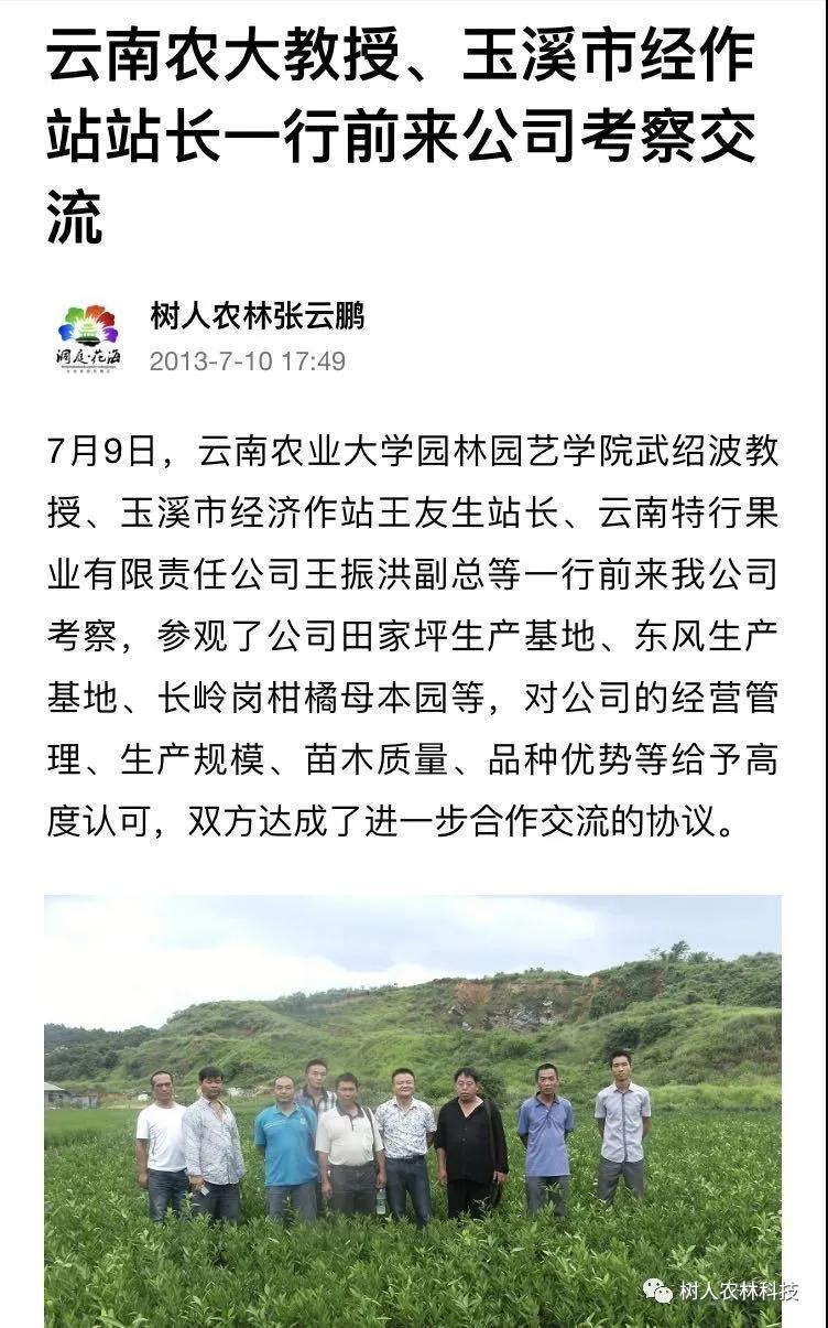 湖南樹人農(nóng)林科技有限公司,湖南柑橘品種銷售,中國果樹網(wǎng),常綠果樹類哪里好