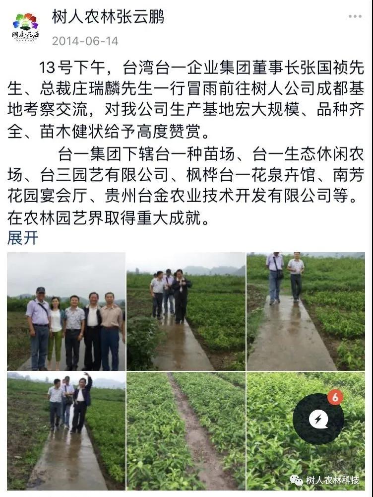 湖南樹人農(nóng)林科技有限公司,湖南柑橘品種銷售,中國果樹網(wǎng),常綠果樹類哪里好