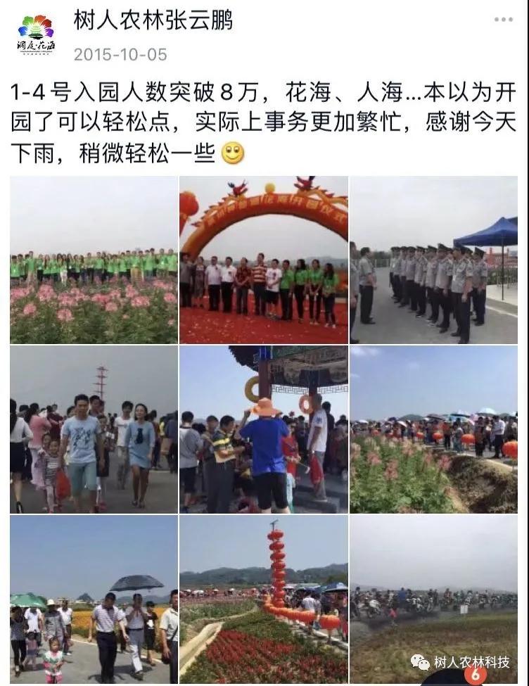 湖南樹人農(nóng)林科技有限公司,湖南柑橘品種銷售,中國果樹網(wǎng),常綠果樹類哪里好