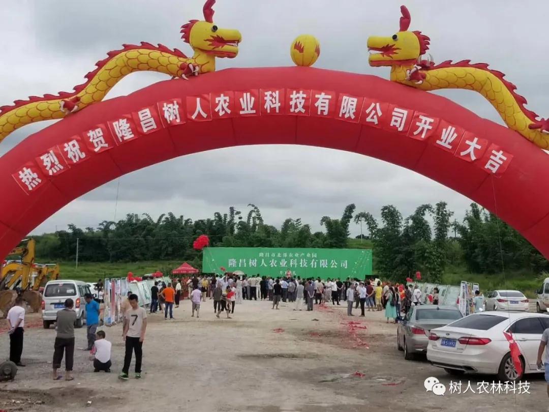 湖南樹人農(nóng)林科技有限公司,湖南柑橘品種銷售,中國果樹網(wǎng),常綠果樹類哪里好