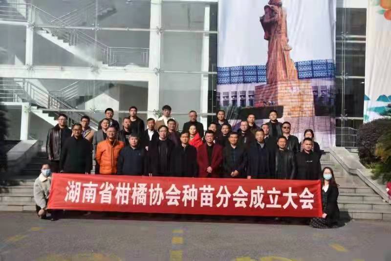 湖南樹人農(nóng)林科技有限公司,湖南柑橘品種銷售,中國果樹網(wǎng),常綠果樹類哪里好