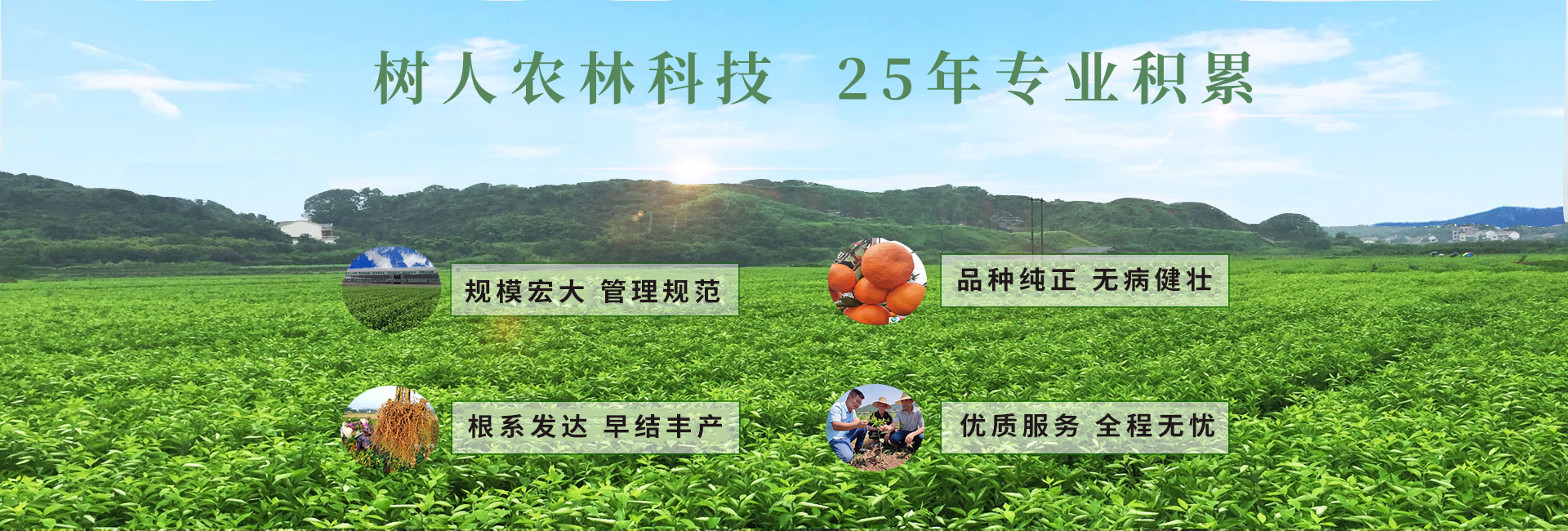 湖南樹(shù)人農(nóng)林科技有限公司_樹(shù)人農(nóng)林丨樹(shù)人農(nóng)業(yè)丨農(nóng)業(yè)科技丨現(xiàn)代農(nóng)業(yè)丨柑橘丨柑橘苗木丨果樹(shù)苗木丨綠化苗木丨種子種苗丨田園綜合體丨鄉(xiāng)村旅游丨觀光休閑等 湖南樹(shù)人農(nóng)林科技有限公司_樹(shù)人農(nóng)林丨樹(shù)人農(nóng)業(yè)丨農(nóng)業(yè)科技丨現(xiàn)代農(nóng)業(yè)丨柑橘丨柑橘苗木丨果樹(shù)苗木丨綠化苗木丨種子種苗丨田園綜合體丨鄉(xiāng)村旅游丨觀光休閑等