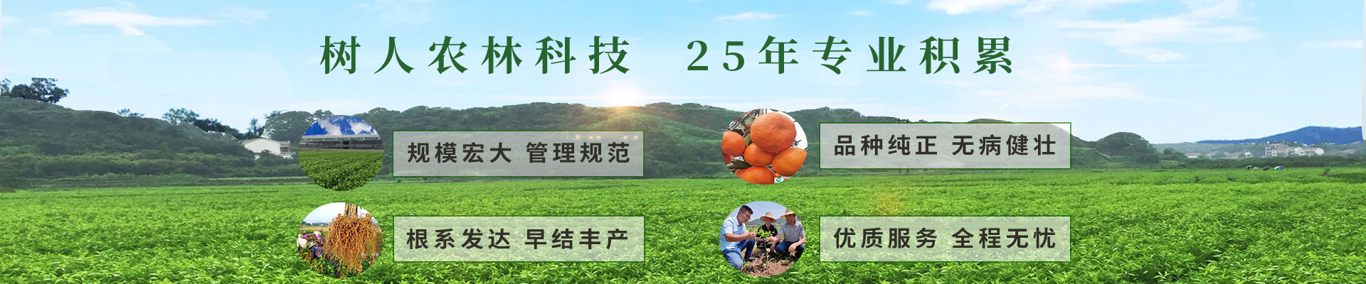 湖南樹人農林科技有限公司_樹人農林丨樹人農業丨農業科技丨現代農業丨柑橘丨柑橘苗木丨果樹苗木丨綠化苗木丨種子種苗丨田園綜合體丨鄉村旅游丨觀光休閑等 湖南樹人農林科技有限公司_樹人農林丨樹人農業丨農業科技丨現代農業丨柑橘丨柑橘苗木丨果樹苗木丨綠化苗木丨種子種苗丨田園綜合體丨鄉村旅游丨觀光休閑等