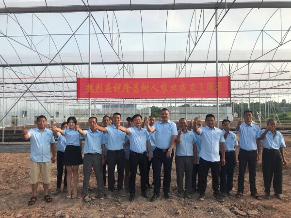 湖南樹人農(nóng)林科技有限公司,湖南柑橘品種銷售,中國(guó)果樹網(wǎng),常綠果樹類哪里好