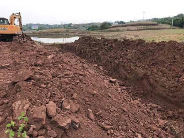 湖南樹人農(nóng)林科技有限公司,湖南柑橘品種銷售,中國(guó)果樹網(wǎng),常綠果樹類哪里好