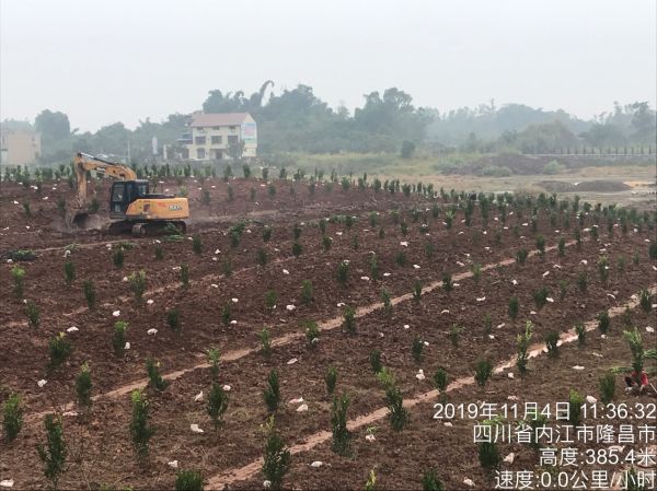 湖南樹人農(nóng)林科技有限公司,湖南柑橘品種銷售,中國(guó)果樹網(wǎng),常綠果樹類哪里好