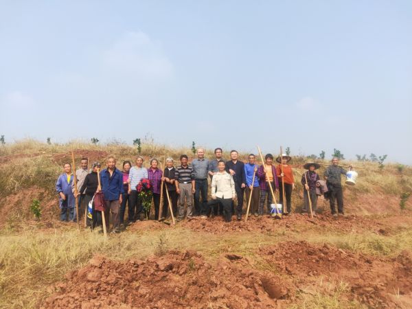 湖南樹人農(nóng)林科技有限公司,湖南柑橘品種銷售,中國(guó)果樹網(wǎng),常綠果樹類哪里好